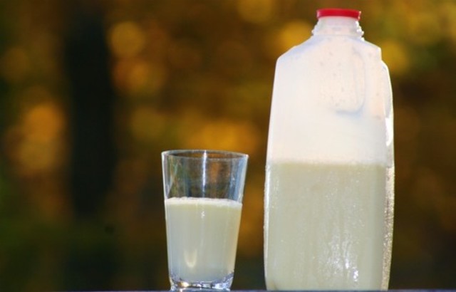 Louis Pasteur (microbiology) pasteurization of milk