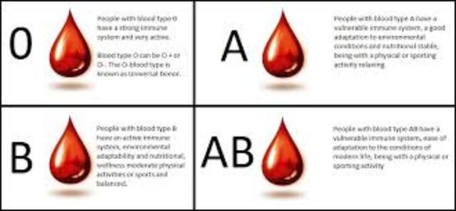 Different human blood types were discovered