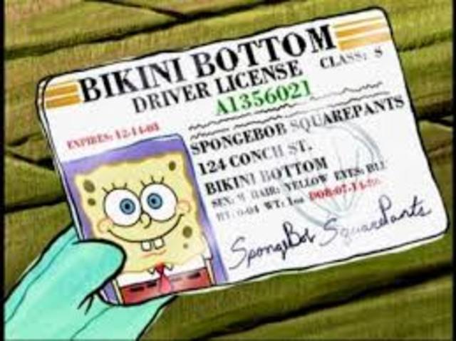 Got Drivers License