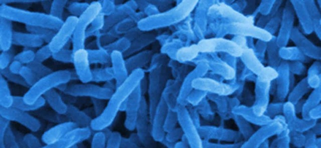 The outbreak of Cholera had been stopped.