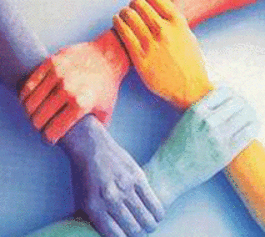 se esstructuraron tanto con pego a los principios fundamentales del liberalismo político como del liberalismo económico.