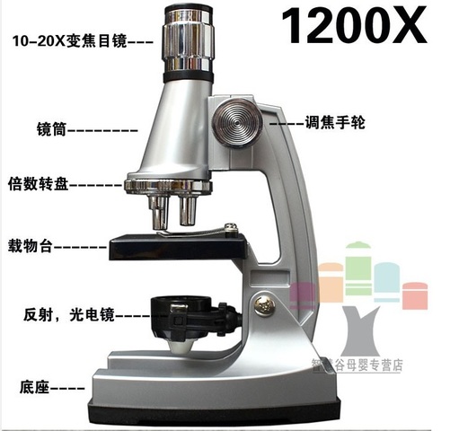 Robert Hooke-Built one of the first reflecting microscopes