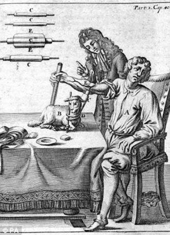 Sir Christopher Wren experiments on dogs and experiments with canine blood transfusions