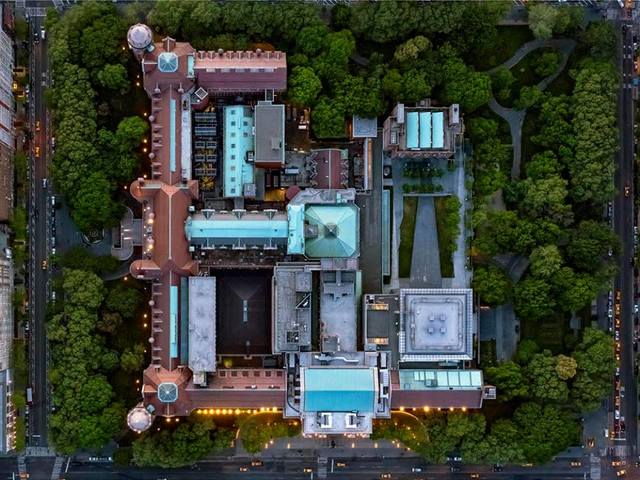 American Museum of Natural History