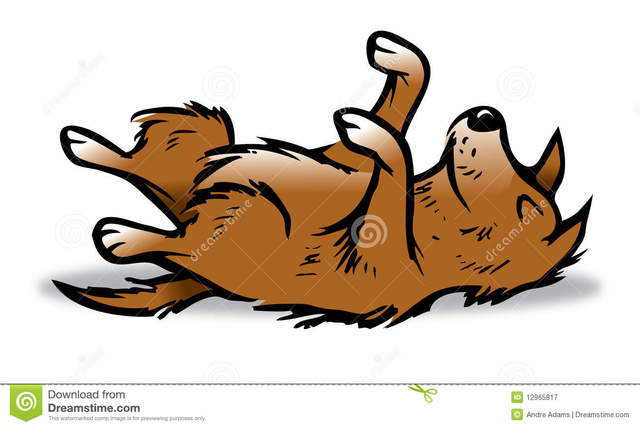 Maria goes off to school, Tam Lin leaves with El Patron, and Matt is left alone with the blame of killing Maria's dog, Furball