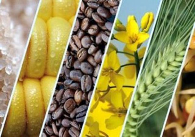 Crecimiento de Exportaciones