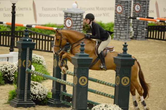 Hunter Holloway wins Maclay Finals