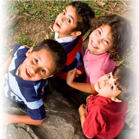 Proyecto pedagogico educativo comunitario (PPEC)