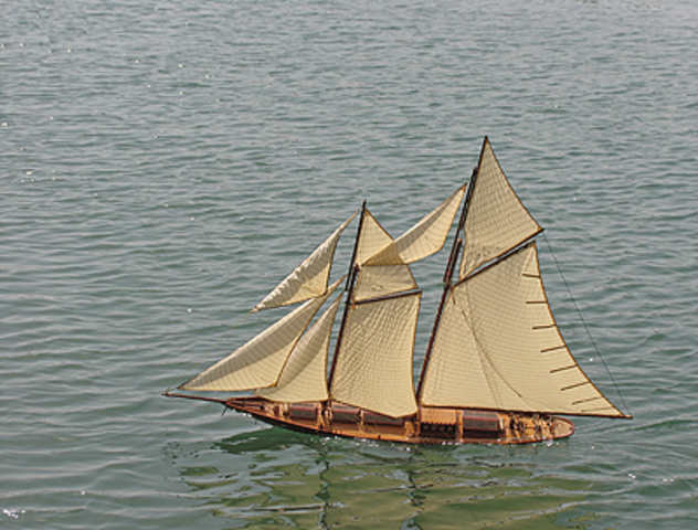 Inici difusió pesta negra