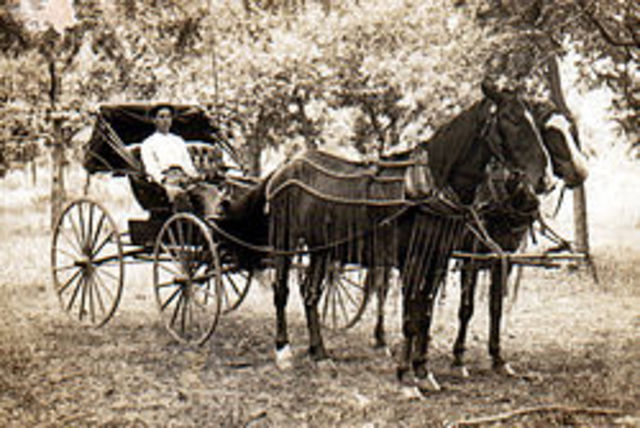 Horse and Buggy is popular.