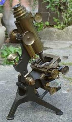 Microscopes were used to see blood, bacteria and protozoa