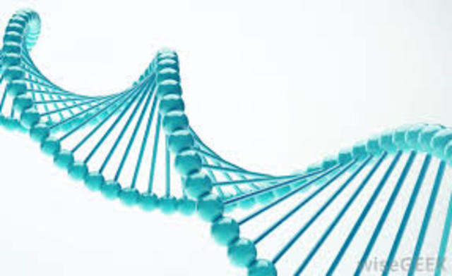 rDna for human beings-Expanded Description