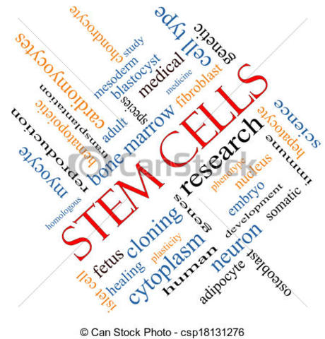 Human skin cells to create embryonic stem cells.