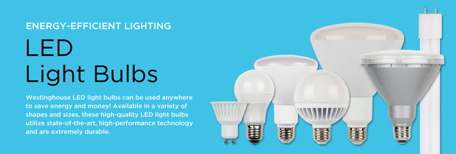 LED Light Bulb