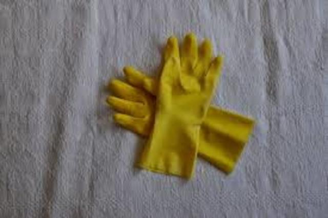 Rubber gloves were first used in surgery