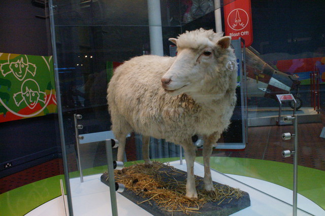Dolly the sheep becomes the first mammal cloned from an adult cell (dies in 2003)
