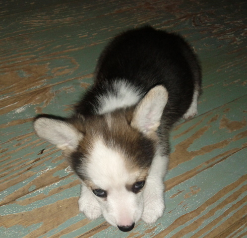 Finally get to meet!