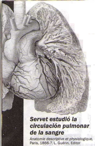 CIRCULACION PULMONAR