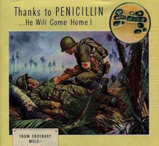 Scotsman Alexander Fleming found a mold growing on some bacterial samples in his laboratory. In fact, the mold killed the samples. He identified the mold as penicillin.