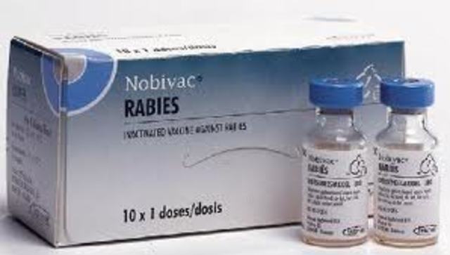 Vaccination for rabies