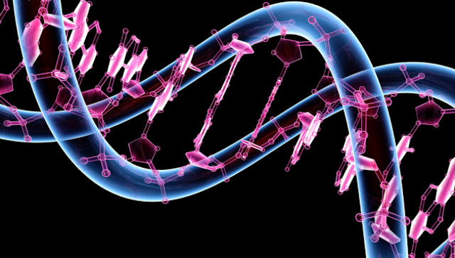 DESCUBRIMIENTO DE LA HERENCIA GENETICA (ADN)