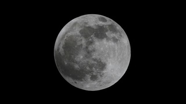 I will have a house and a family on the moon!