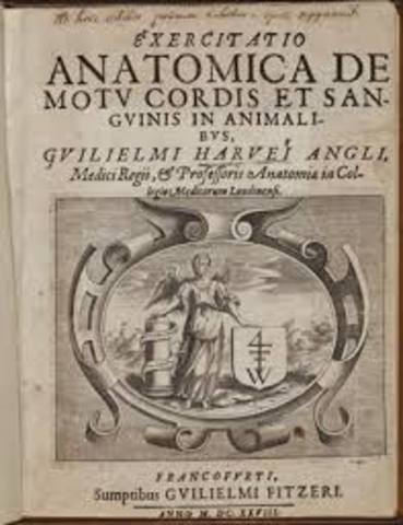 Book published about blood flow.