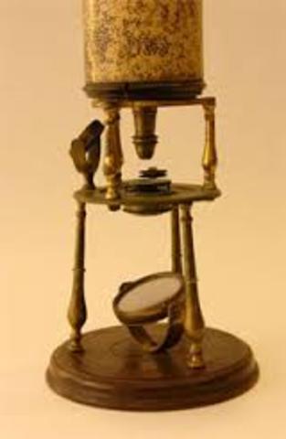 Blood cells and micro-organisisms are discovered