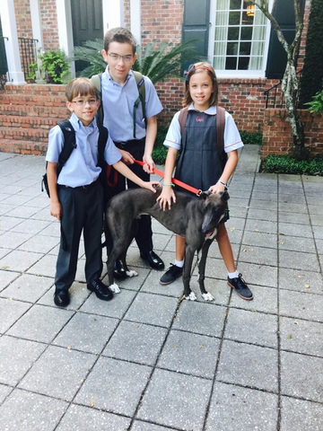 I went into middle school at UMS-Wright