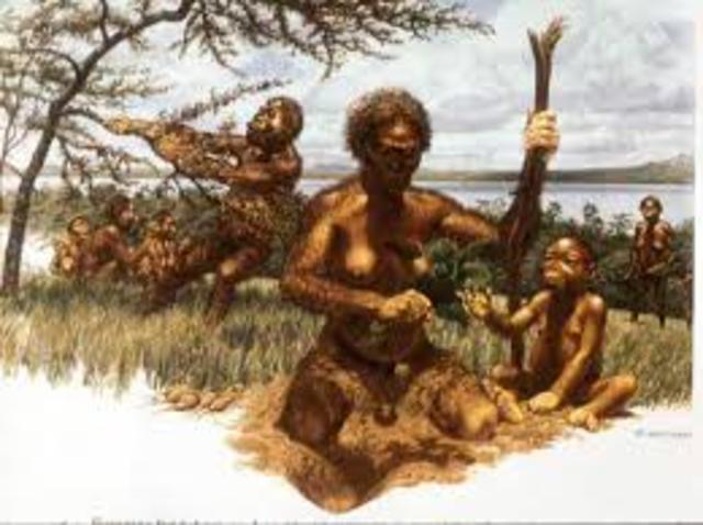 Los Primeros Hominidos