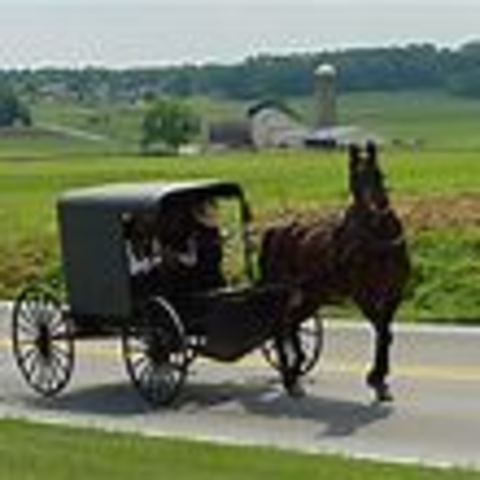 history of the amish