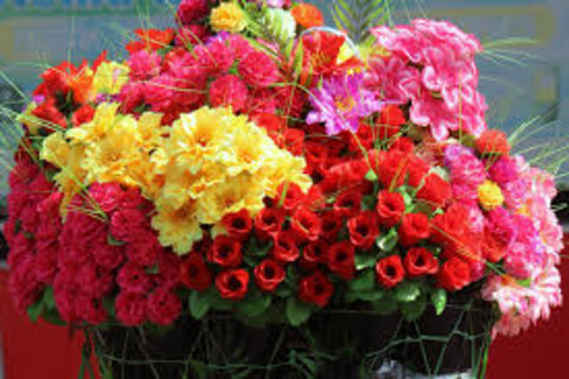 Watered Main Street flowers