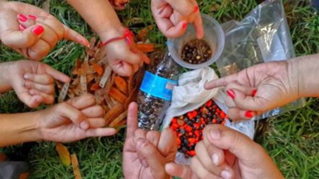 ¡Operativo Pepitas!