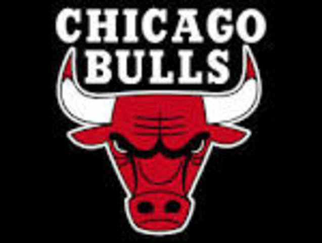The Chicago Bulls