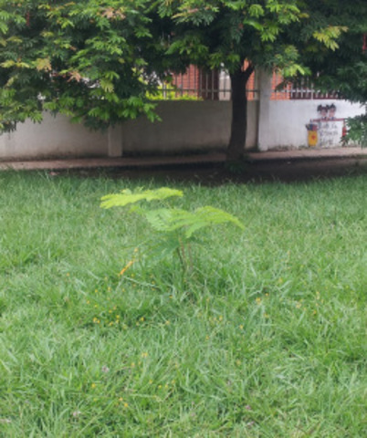 Estamos visitando las áreas pejerrey