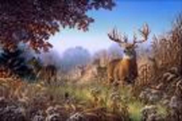 I get a big buck with my dad while hunting