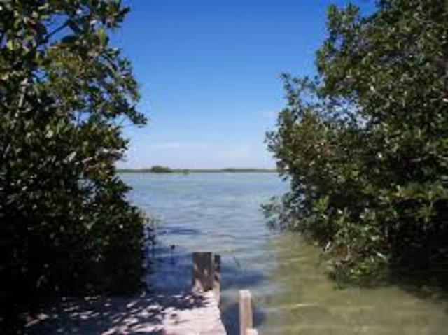 I went the the Forida Keys again.