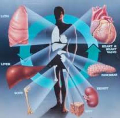 discovery of organ transplants, X-rays, radium for cancer, MRI, CAT scans