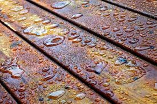 I helped my family stain our deck.