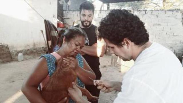 Esterilización de mascotas en el Barrio Jigote: primer round