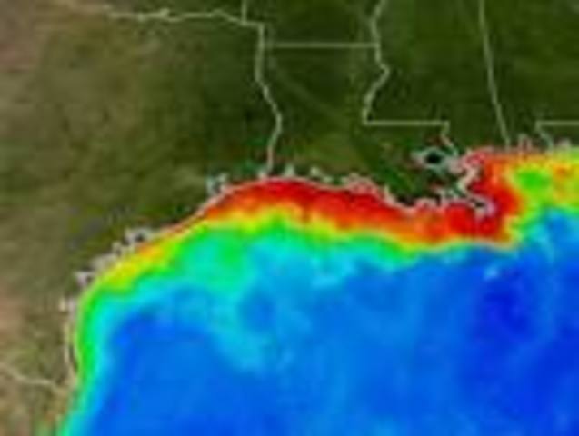 gulf of mexico dead zone