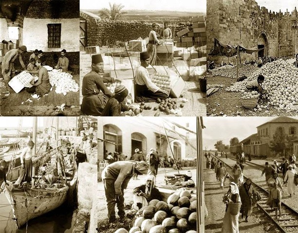 Arancel del BelgaMario Campen