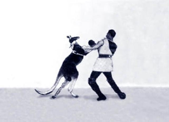 Boxing kangaroo