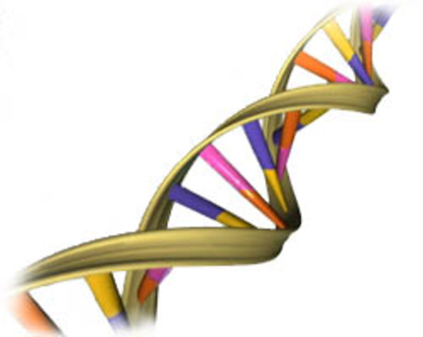 Mystery of DNA Solved