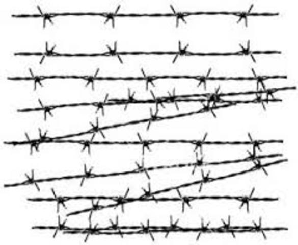 Barbed Wire