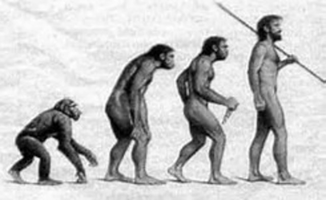 Aparicion del hombre