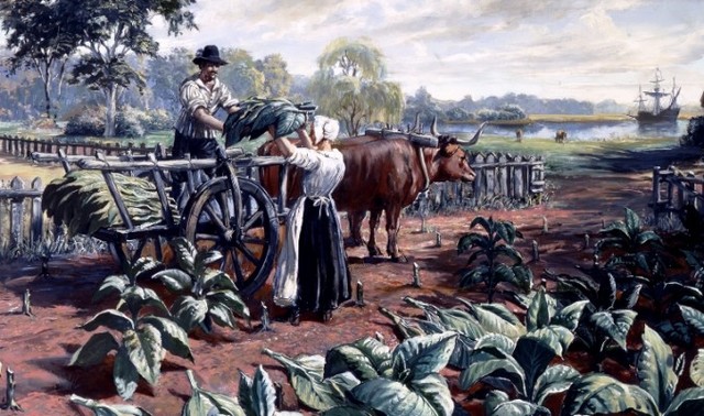 Tobacco introduced to Jamestown
