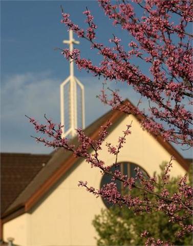 Baptized - Grace Covenant Presbyterian Church