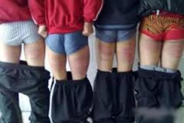 Mrs. Pratchett Revenge