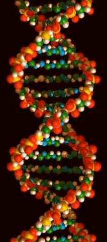 EDAD CONTEMPORANEA DEL SIGLO XVIII AL SIGLO XXI